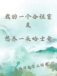 我的一個合租室友